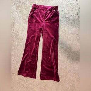 Express velvet pants